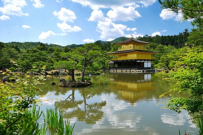 Historical Kyoto Bike Tour - Use of Bicycle