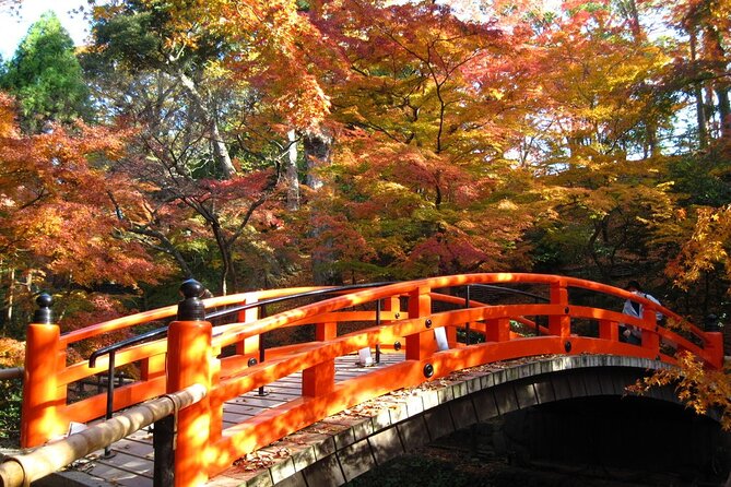 Historical Kyoto Bike Tour - Bottled Water Included