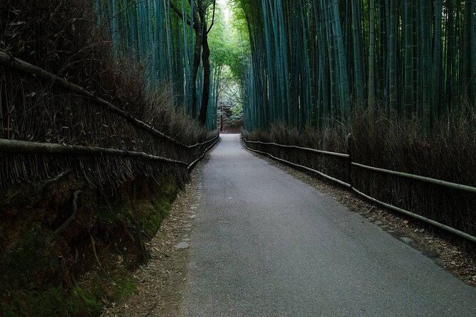 Kyoto Bamboo Forest & Golden Pavilion (E-Bike or Sport Bike) - Traveler Health Recommendations