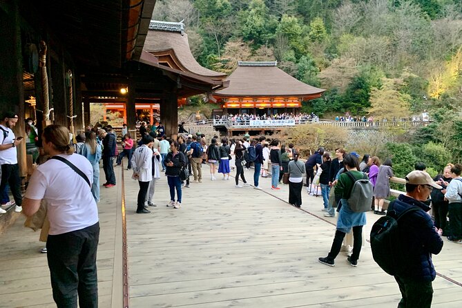 Gion District Walking With an Expert Local Tour Guide in Kyoto - Pricing Details