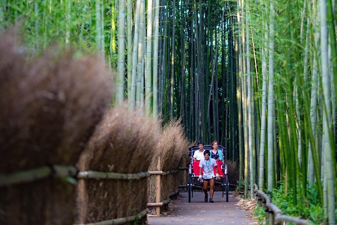 Kyoto Arashiyama Rickshaw Tour With Bamboo Forest - Transportation and Customization