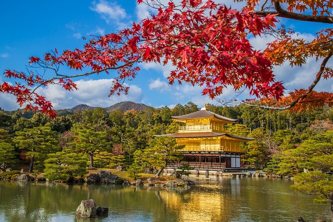 Kyoto and Nara 1 Day Bus Tour - Itinerary Highlights