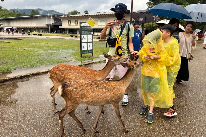 Kyoto and Nara 1 Day Bus Tour - Booking and Cancellation Policies