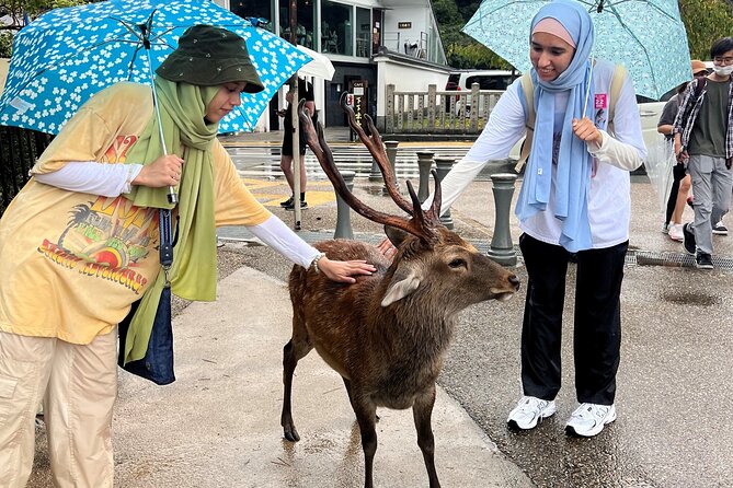 Kyoto and Nara 1 Day Bus Tour - Overall Visitor Impressions