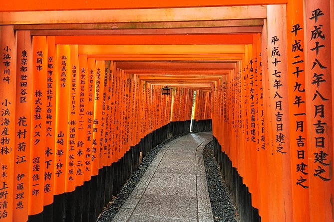 South Kyoto in a Nutshell: Gentle Backstreet Bike Tour! - Safety Measures