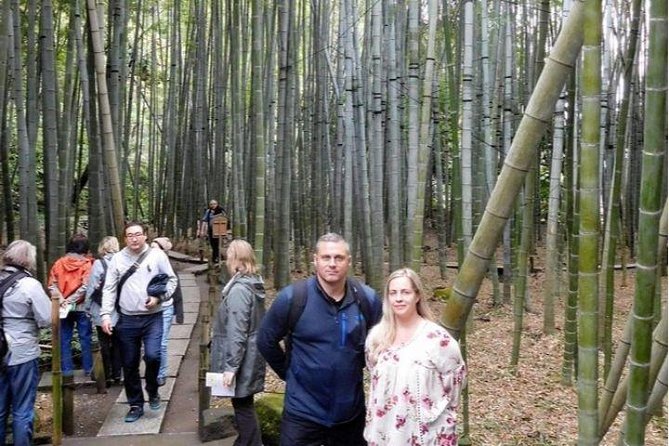 Kyoto Japanese Garden Lovers Private Tour With Government-Licensed Guide - Tour Overview