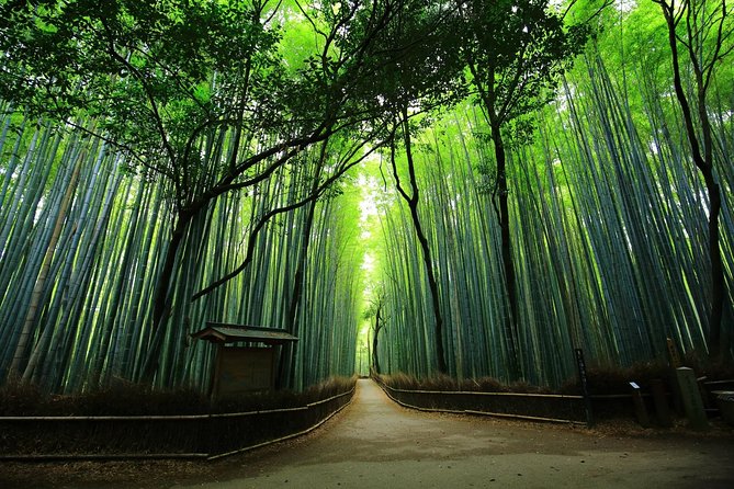 Kyoto Arashiyama & Sagano Bamboo Private Tour With Government-Licensed Guide - Tour Details and Inclusions