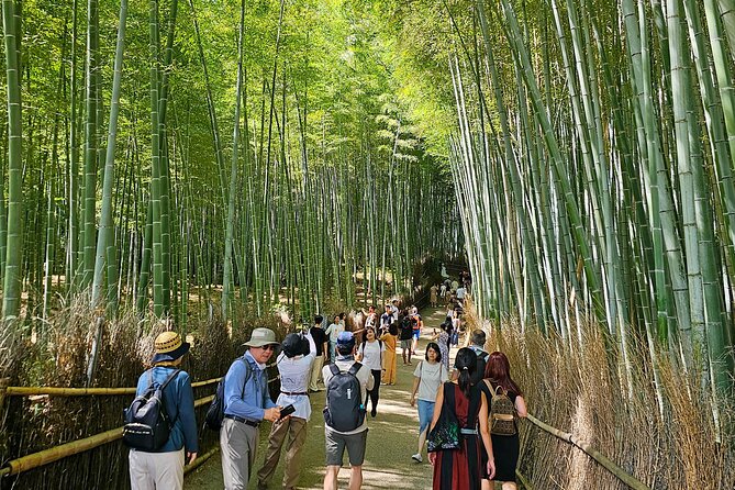 Kyotos Arashiyama Bamboo Grove: 3-Hour Guided Tour - Tour Accessibility