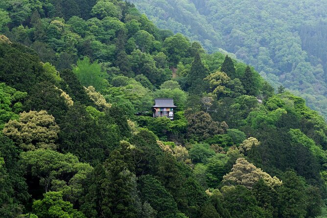 Explore Arashiyama Bamboo Forest With Authentic Zen Experience - Authentic Cultural Experience in Kyoto