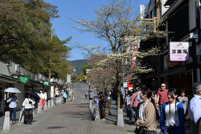Old Port Town and Ultimate Sake Tasting Private Tour From Kyoto - Detailed Itinerary